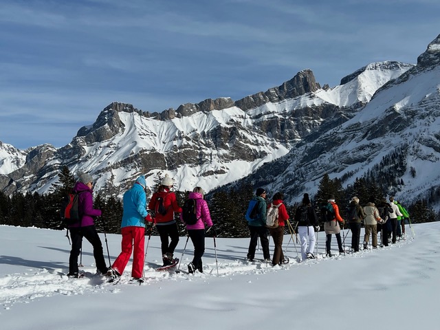 You are currently viewing Schneeschuhwandern vom Col du Pillon zum Lac Retaud (1685 m ü.M.)